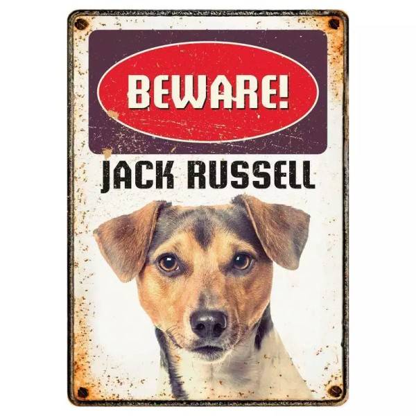 Metallschild "Jack Russel"